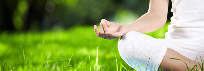 Tallahassee FL Chiropractor Discusses Wellness Care