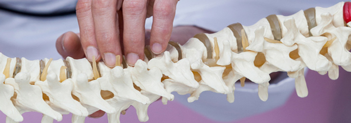 What Are The Educational Requirements For A Chiropractor in Tallahassee FL?